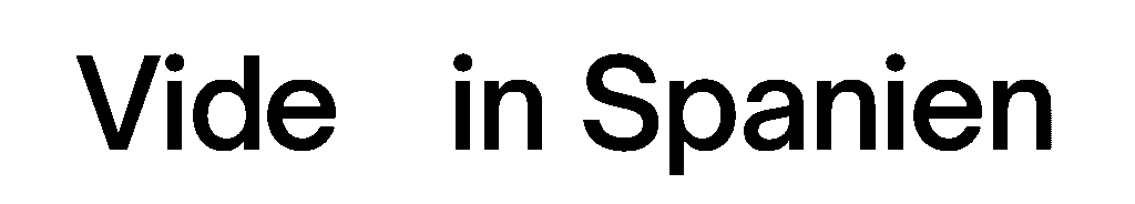 VideoinSpanien - Schwarz Weiß logo